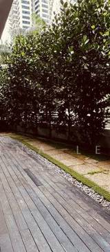 Balcony & garden